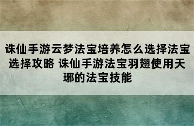 诛仙手游云梦法宝培养怎么选择法宝选择攻略 诛仙手游法宝羽翅使用天琊的法宝技能